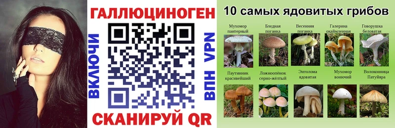 Галлюциногенные грибы Psilocybe  наркошоп  blacksprut как войти  это Telegram  Ардон 